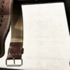 Anchor 10MM Lever Belt, view 9