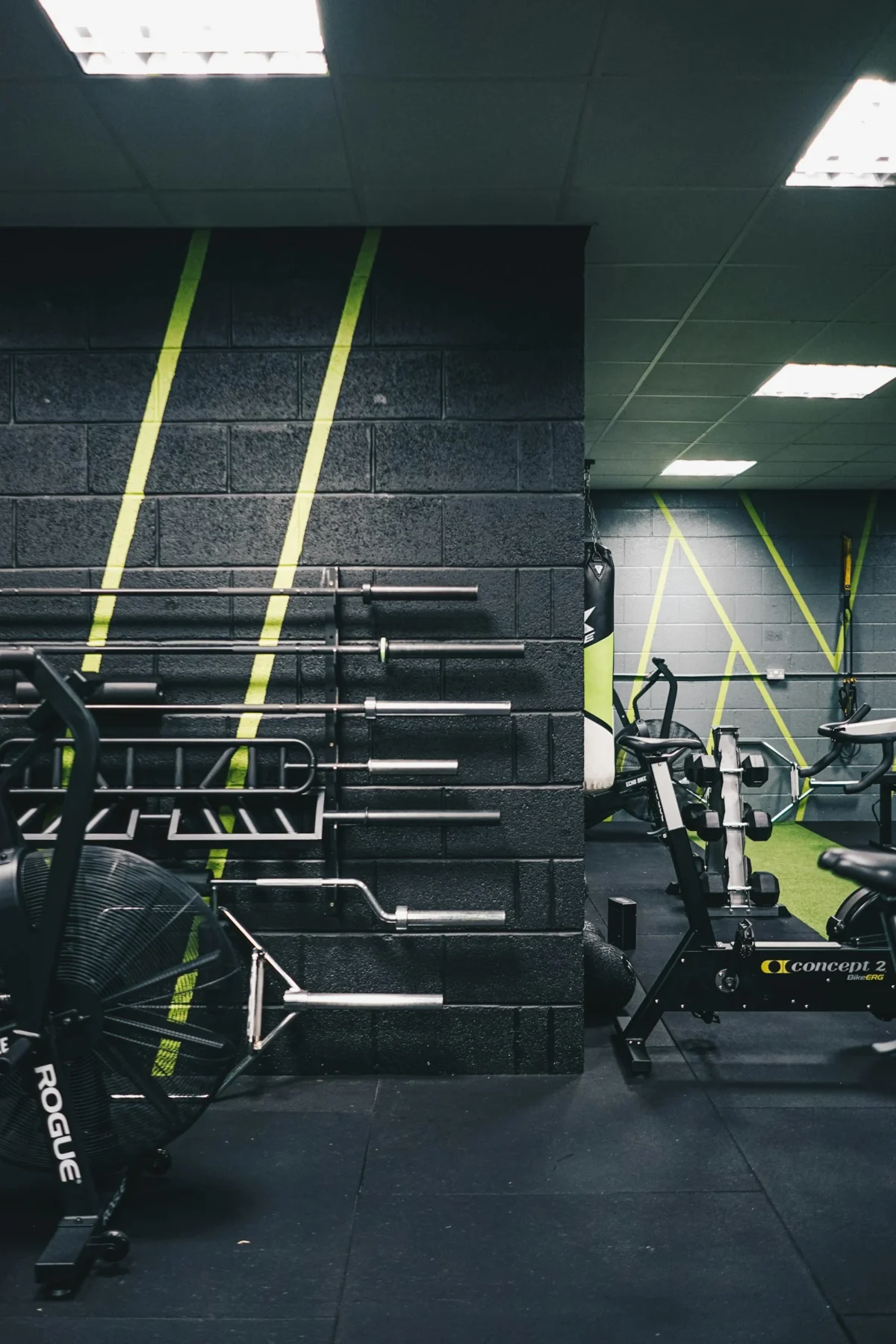 Starter Strength Bundle